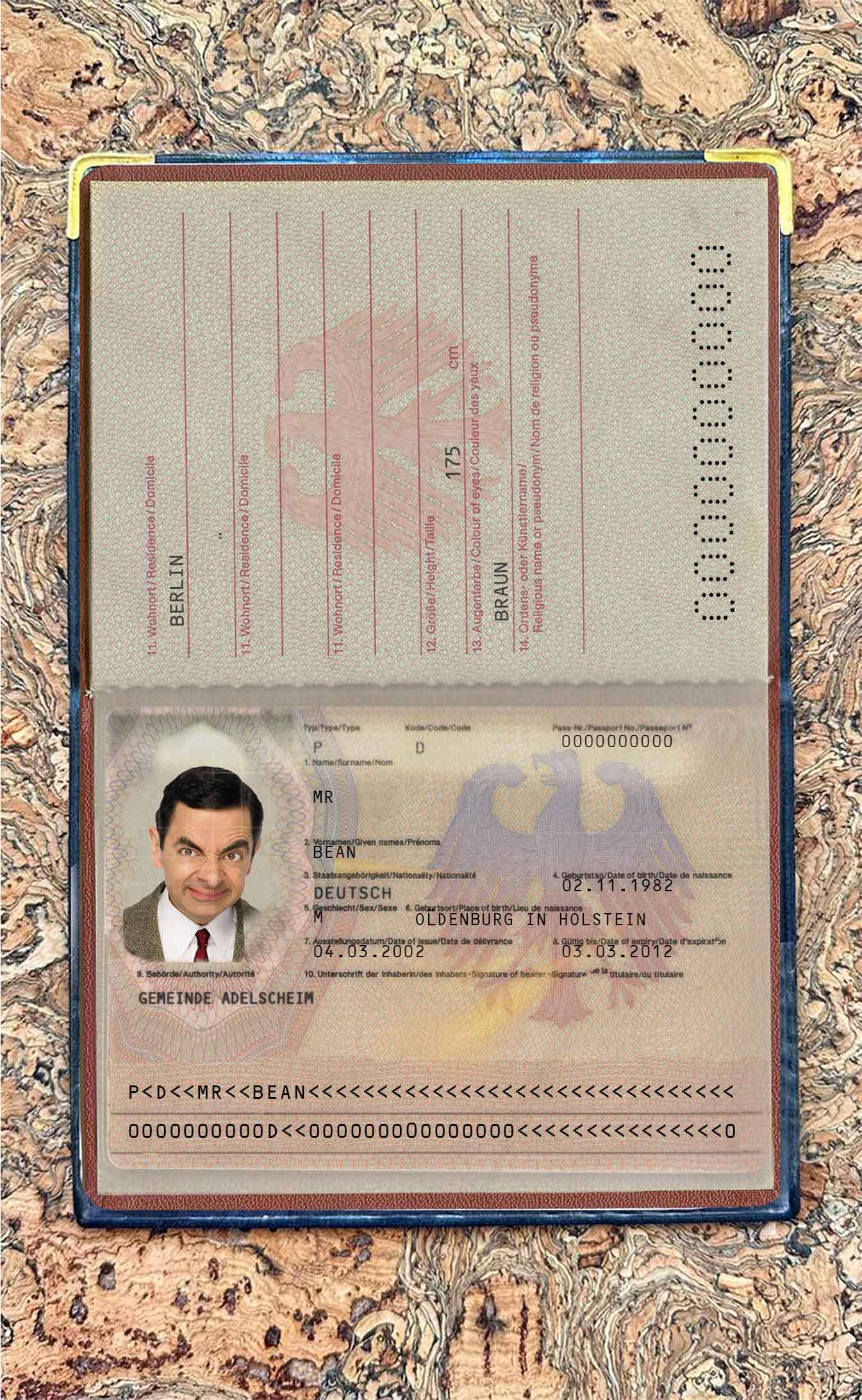 Germany passport (2005 2017) photo look PSD template